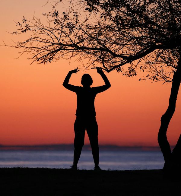 Silhouette of a person in a yoga tree pose against a sunset background.